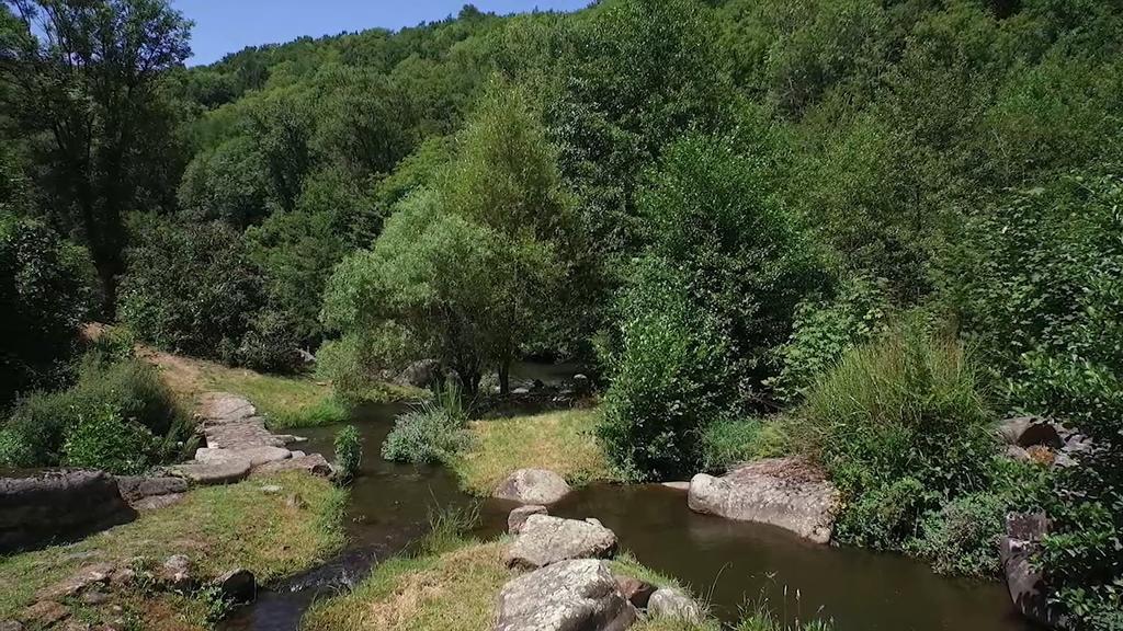 Moulin De Record Villa Ferrieres  Exteriör bild