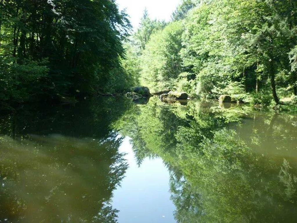 Moulin De Record Villa Ferrieres  Exteriör bild