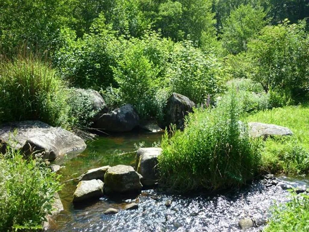 Moulin De Record Villa Ferrieres  Exteriör bild